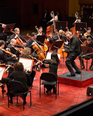 NieR: Orchestra Concert