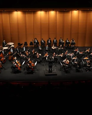 Fort Worth Symphony Orchestra: The Music of SQUARE ENIX - Magic, Memories and Melodies