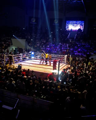 Guns N Hoses