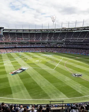 Major League Cricket: Seattle Orcas vs. LA Knight Riders & Texas Super Kings vs. MI New York