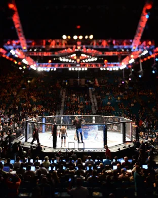 Peak Fighting MMA