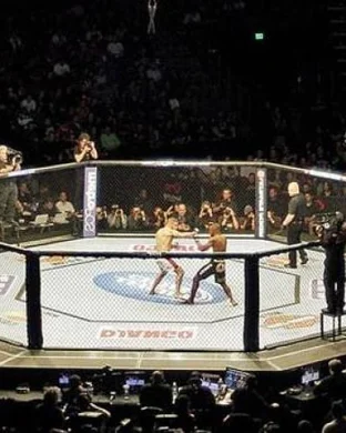 XKO Fight Night